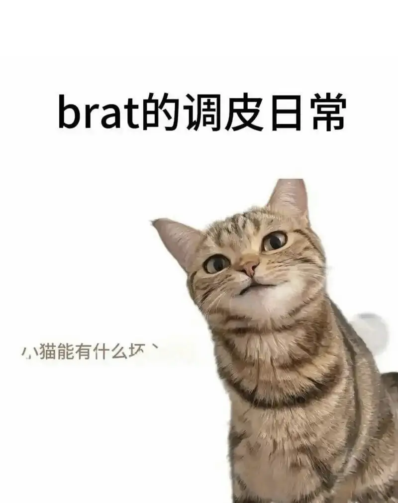 西檬之家字母圈的女王是什么意思? 一