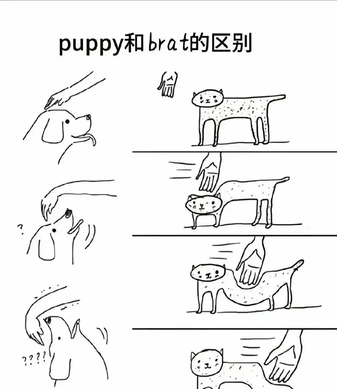 西檬之家字母圈入圈指南:新人如何安全入门? 一