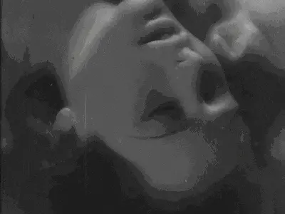 西檬之家k9犬系入门指南 一