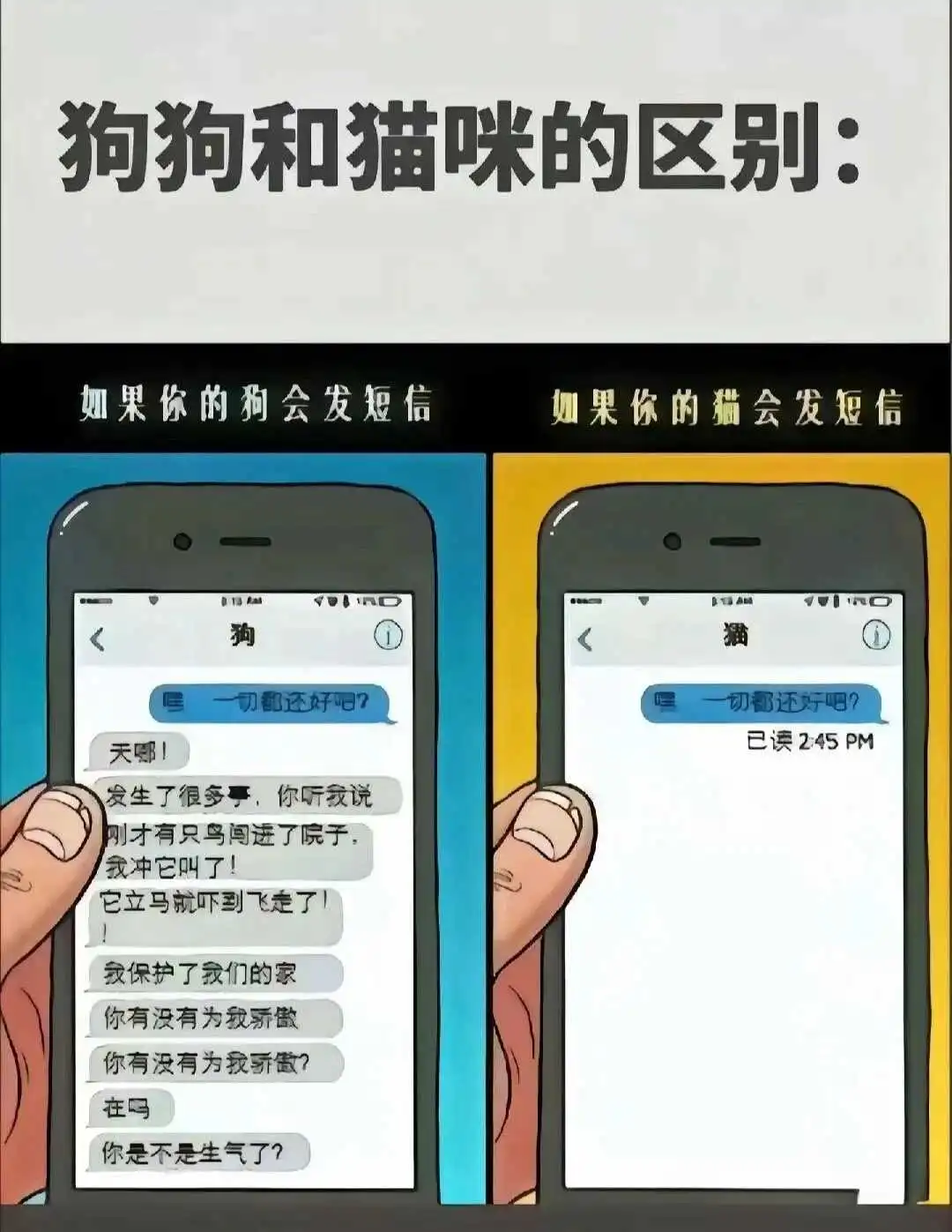 西檬之家字母圈新人入门指南 一
