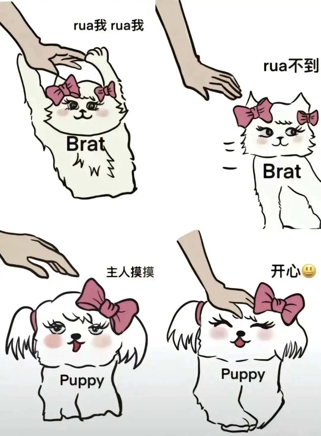 西檬之家k8是什么?字母圈术语科普 一