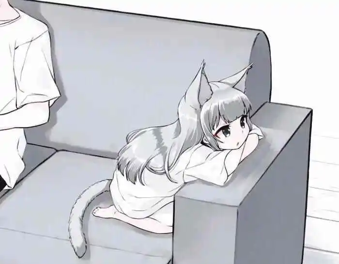 西檬之家ds关系是什么意思? 一