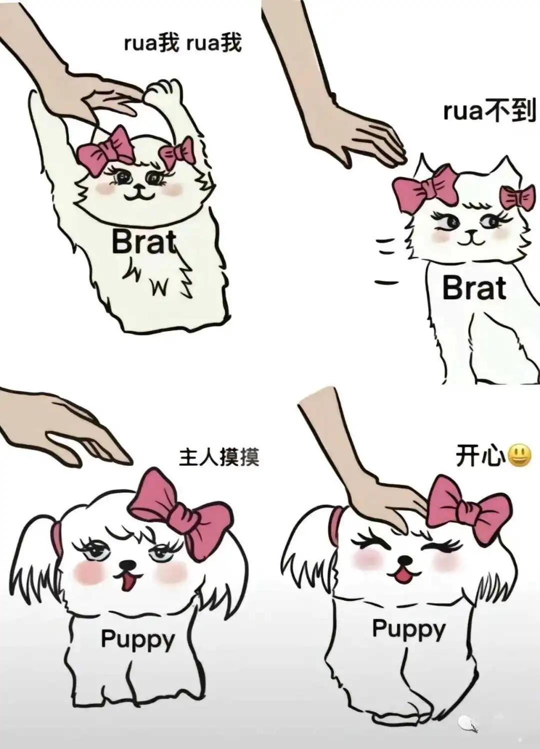 西檬之家BDSM入圈新手必读 一