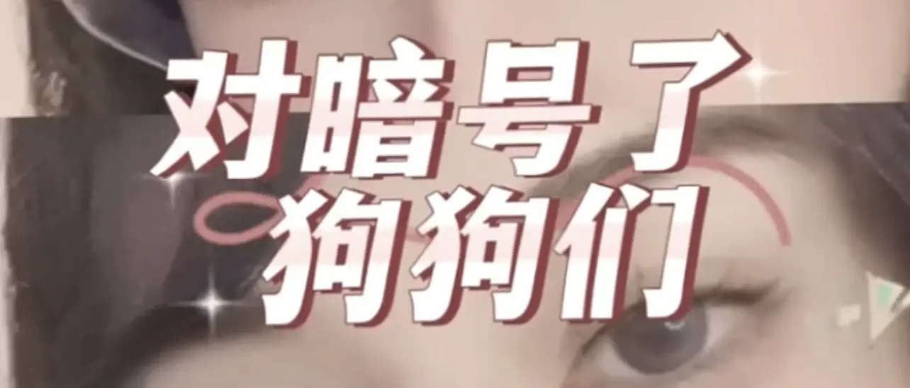西檬之家m倾向是什么?字母圈新人属性自测指南 一