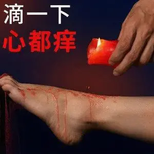 西檬之家k9犬系是什么意思?你的字母圈属性是什么? 一