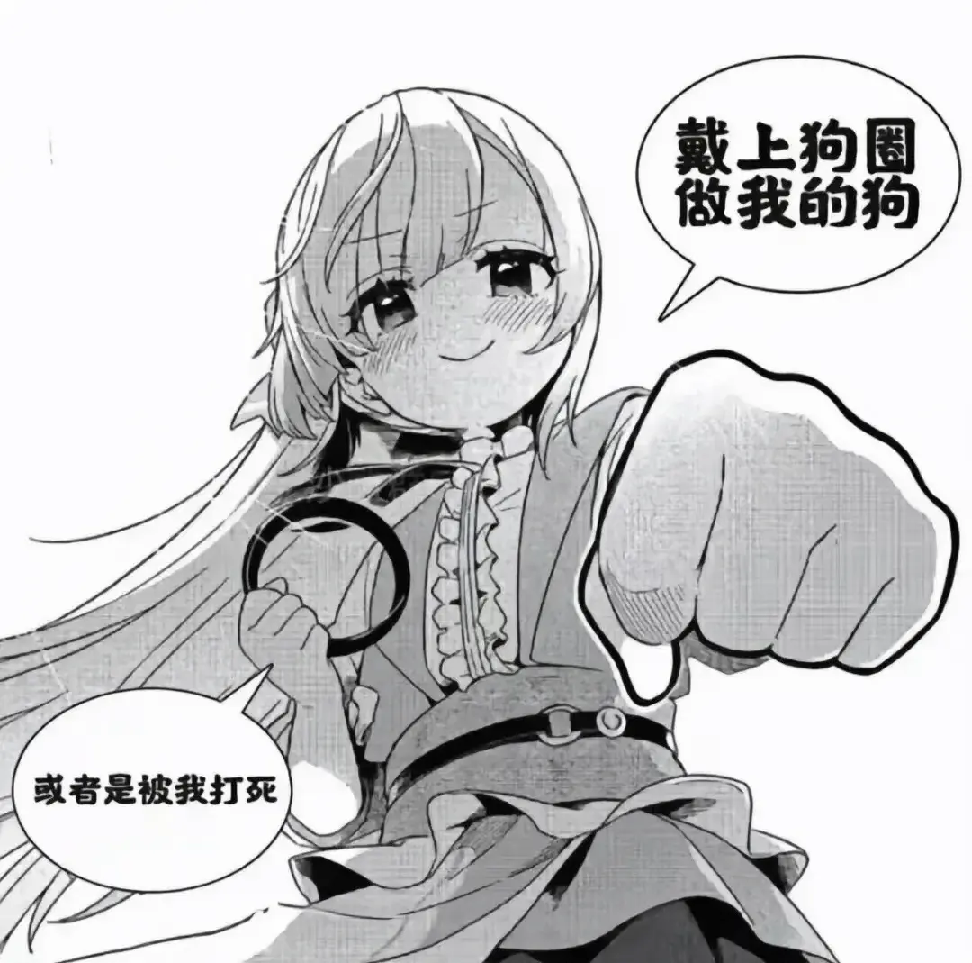 西檬之家k9是什么?字母圈新人入圈 一