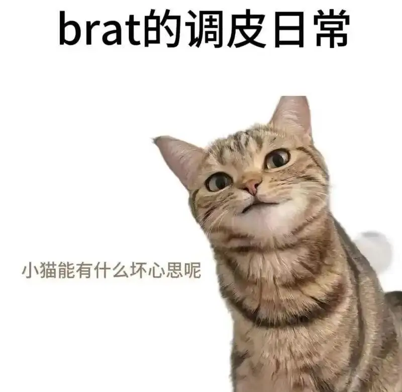 西檬之家字母圈的tickling是什么意思? 一