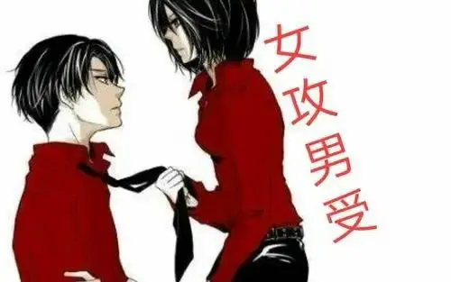 西檬之家k8是什么?你的字母圈属性是什么? 一